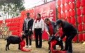新春走基层丨湖南常德:港中坪村年味浓