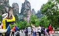 张家界国家森林公园日均接待游客3万人次 错峰游催热“小旺季”