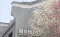 奇!武汉园博园玉兰一树双色!错过就得再等一年