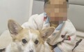 重庆2岁幼童从18楼坠亡,母亲称父亲把孩子独自留在家中去遛狗,父亲发声:我很愧疚