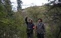 林海守初心 高原护青绿(3)