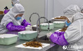 何以中国・当惊世界殊丨长江边,一年“养”出60吨冬虫夏草