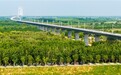 “好运山东”2026黄河口(东营)国际公路自行车赛鸣笛开赛 中外车手竞逐黄河口湿地赛道