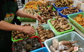 云新闻现场丨走,去南华赶一场“菌子集”