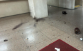 台北地方法院被泼污秽物,现场瞬间臭气熏天