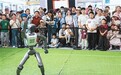 2026年服贸会达成各类成果超1200项——服务业扩能提质活力足(锐财经)