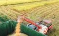 今年粮食丰收在望—— 把农业建成现代化大产业(锐财经)
