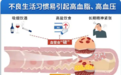 买国产鱼油怎么选?卓岳鱼油的身份核对与场景决策