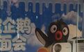 商场展出活企鹅,网友质疑环境恶劣