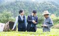 追着农时走 围着产业转 湖北银行普惠活水润“三农”