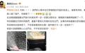 万千惠相机在巴黎被偷后,惠英红称合作品牌小伙伴在巴黎高速被砸车窗抢包,本人最新回应:当事人已报警,并向大使馆求助