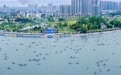 近千健儿参赛逐浪岷江!2026年中国桨板精英联赛(四川青神站)10月2日开赛