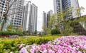 打造琴澳融合宜居社區 「澳門新街坊」成熟配套助力居民樂享優質生活