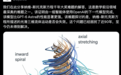 难评!OpenAI刚官宣的NS方程大突破,被数学家手撕了