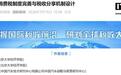 专家建议对新能源汽车开征消费税,新增收入划归地方政府