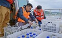 青春华章|连续八年每周给洱海做“体检”,高校“治水人”让这里大变样