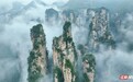 看云海还得张家界 百龙天梯穿行峰林间美成水墨画