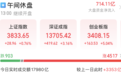 市场超4500股飘红,AI应用全线大涨!工信部发布重要规划,这一细分赛道多股绩优+估值较低