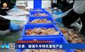 甘肃:做强牛羊特色畜牧产业