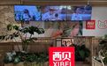 西贝的困局与自救:现金流吃紧,门店大幅减少