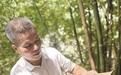 “藏在深闺” 厦门植物园发现竹类植物新种“锁云竹”