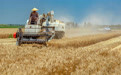 各地秋收秋种有序推进