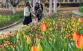 来武汉植物园赴一场百花盛宴“郁”见春日限定浪漫