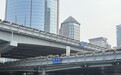 环路月季今年最后一波“爆花”!明年春天四环喜提“月季项链”