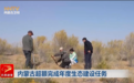 内蒙古超额完成年度生态建设任务