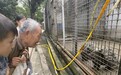 “最温柔园长爷爷”和他的山野动物园