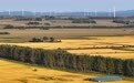 秋风起处稻浪翻涌 北国大地尽披金装