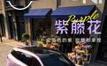 定位“年轻人的智能零压SUV”,东风日产NX7公布5款外观配色