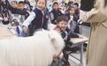 开学啦!摸一下“马”上进步