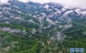 守得住青山 看得见“金山”
