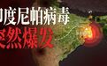 印度尼帕病毒爆发,死亡率极高,会波及中国么?