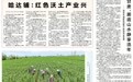 【牢记初心使命 奋进复兴征程】哈达铺:红色沃土产业兴