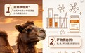 2026 驼奶粉大盘点:三大筛选门槛 + 营养价值解析,10 款产品谁更值得入手