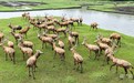 活力中国调研行|从“锅底洼”到“聚宝盆”