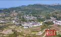 碎片田绘出连片景,来凤山里梯田成致富田