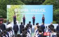 立法、建档、上保险……湖南这样守护近24万株古树名木