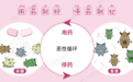 阴道微生态平衡疗法:阴道乳酸菌怎么来调节阴道微生态恢复微生态平衡的?