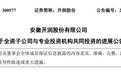 DeepSeek估值,被一家安徽箱包公司给全部暴露了