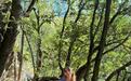 爱打太极拳的意大利姑娘:把假期留给中国山水和乡村