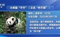 大熊猫“平平”“福双”到达美国亚特兰大动物园