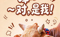 在云南,牛也要参加选美大赛!