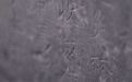 假如这条渠有颜色