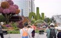 国庆花坛上新 长安街一路繁花(13)