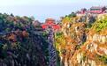 同比全线飘红!10月6日山东旅游人次收入双增