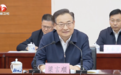 已有多个“全国第一”!省委书记、省长会见王传福