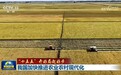 新闻联播|【“十五五”开好局起好步】我国加快推进农业农村现代化